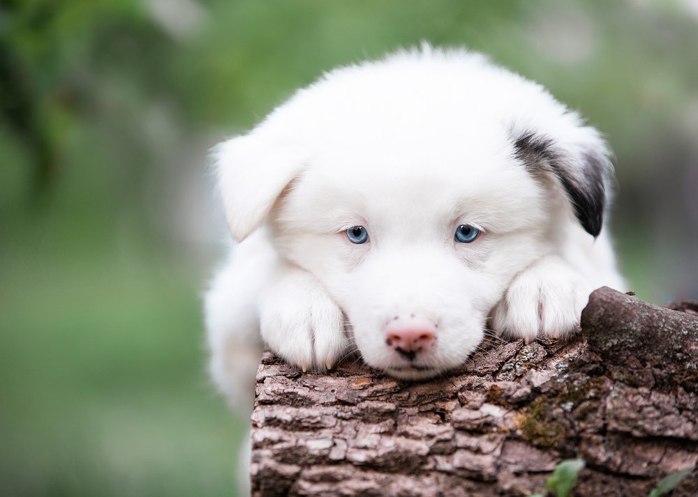 Photograph by Dasha Zueva