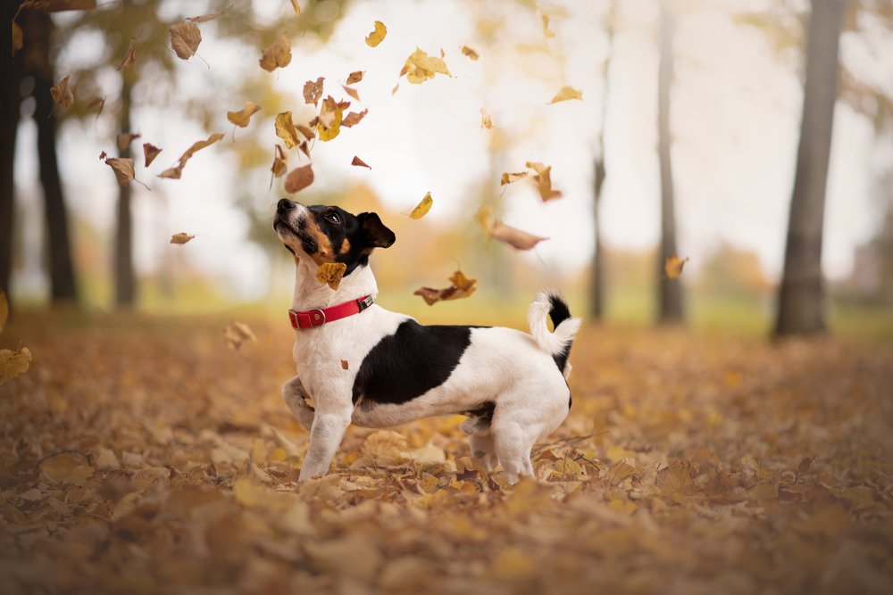 Photograph by Анастасия Цыганкова