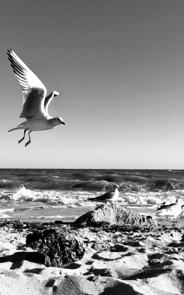 Photograph by Anna Krasova