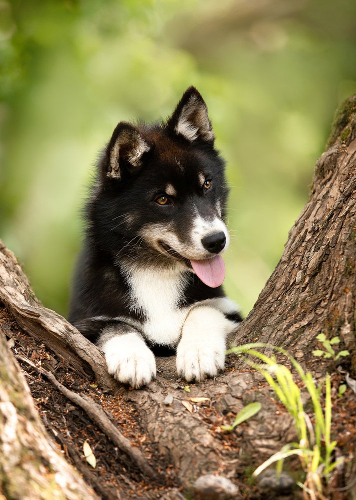 Photograph by Dasha Zueva