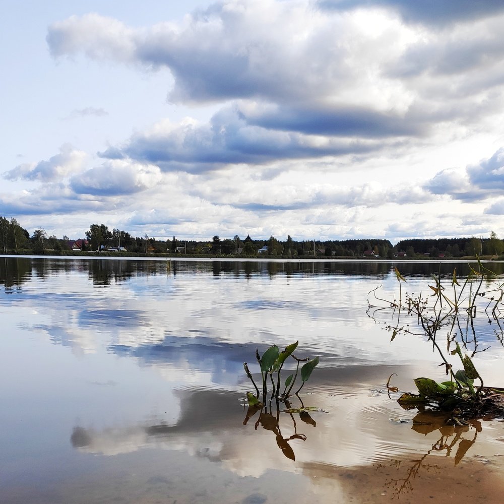 Photograph by Ксения