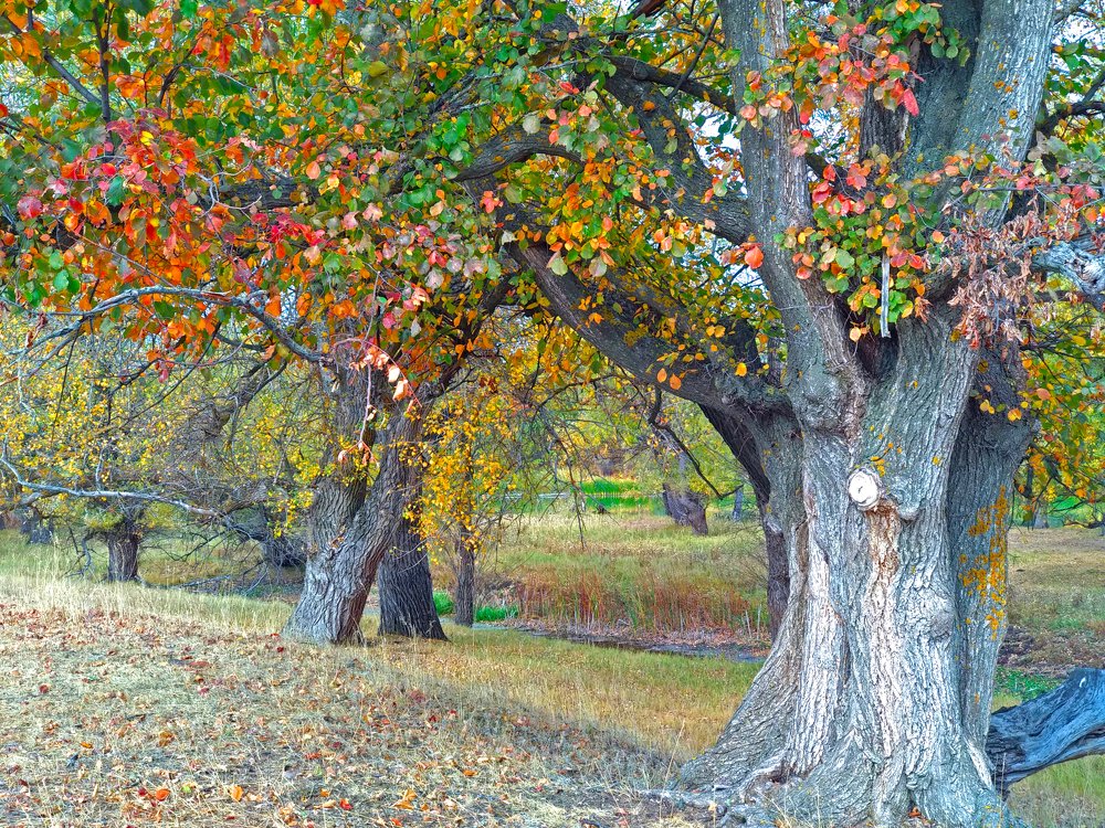 Photograph by Iren Gavrikova
