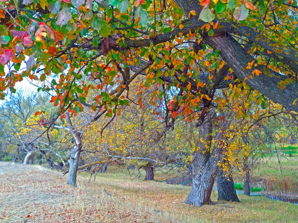 Photograph by Iren Gavrikova