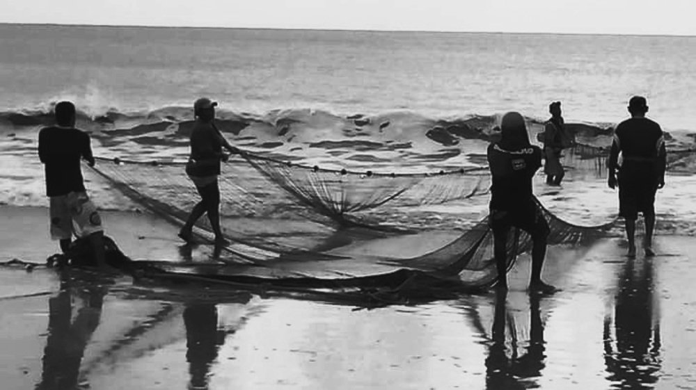 Photograph by MARIA PAULA DA Silva Nascimento
