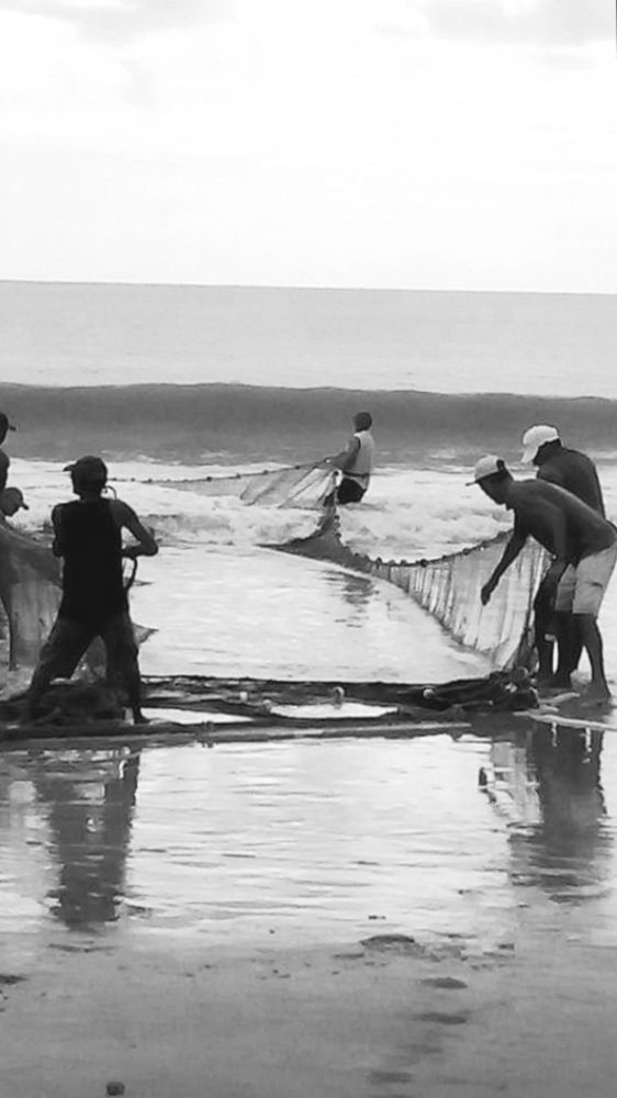 Photograph by MARIA PAULA DA Silva Nascimento