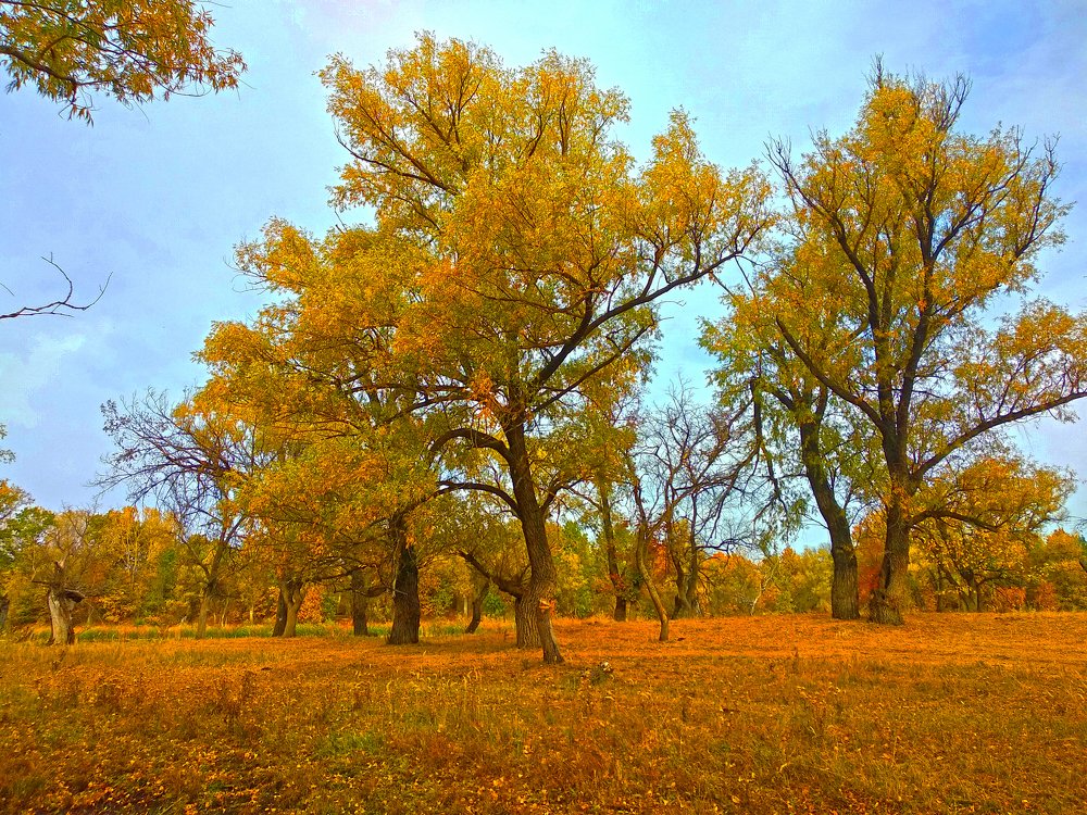 Photograph by Iren Gavrikova