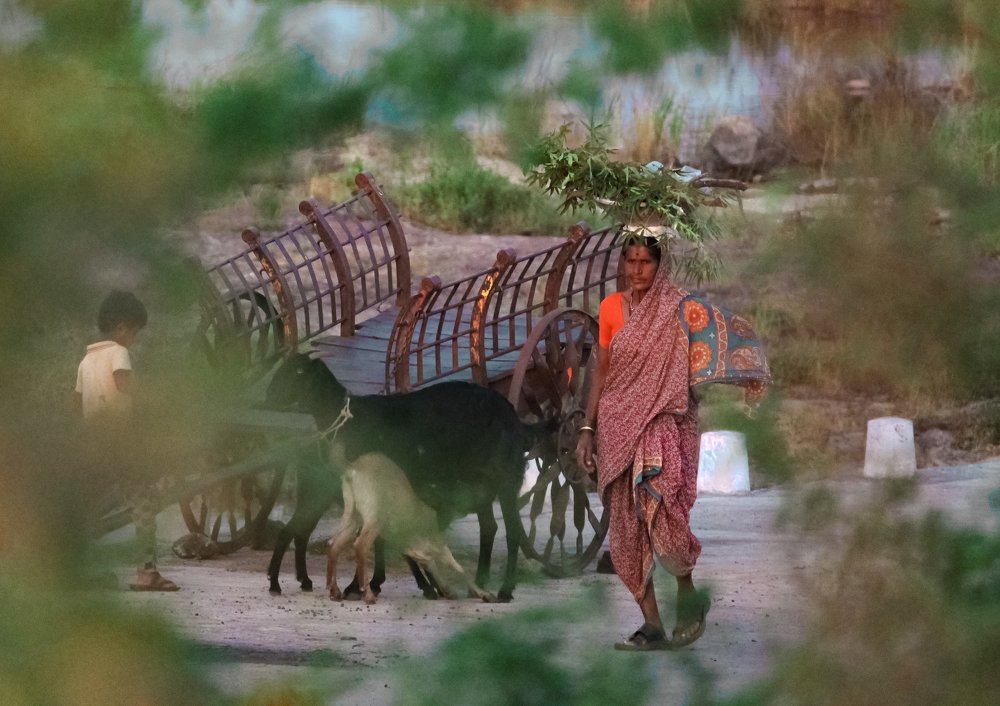 Photograph by Akash Rajurkar