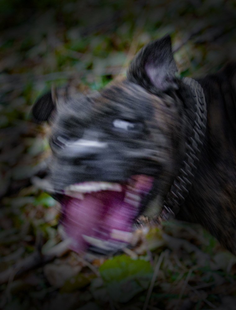 Photograph by петр чиков