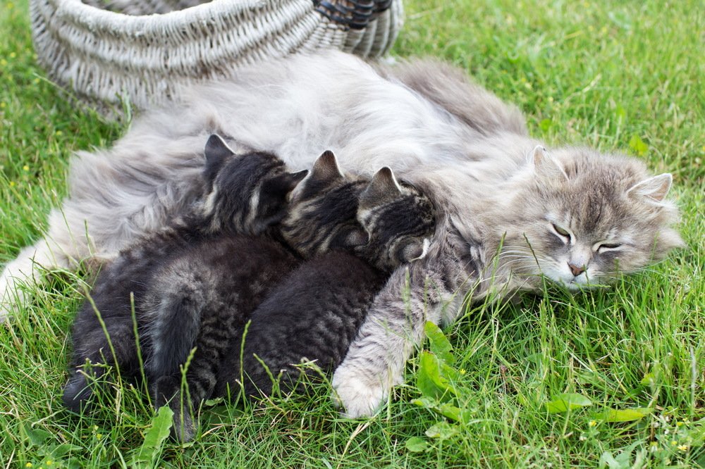 Photograph by Татьяна Бушук