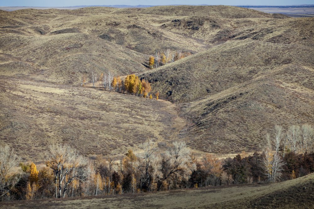 Photograph by петр чиков