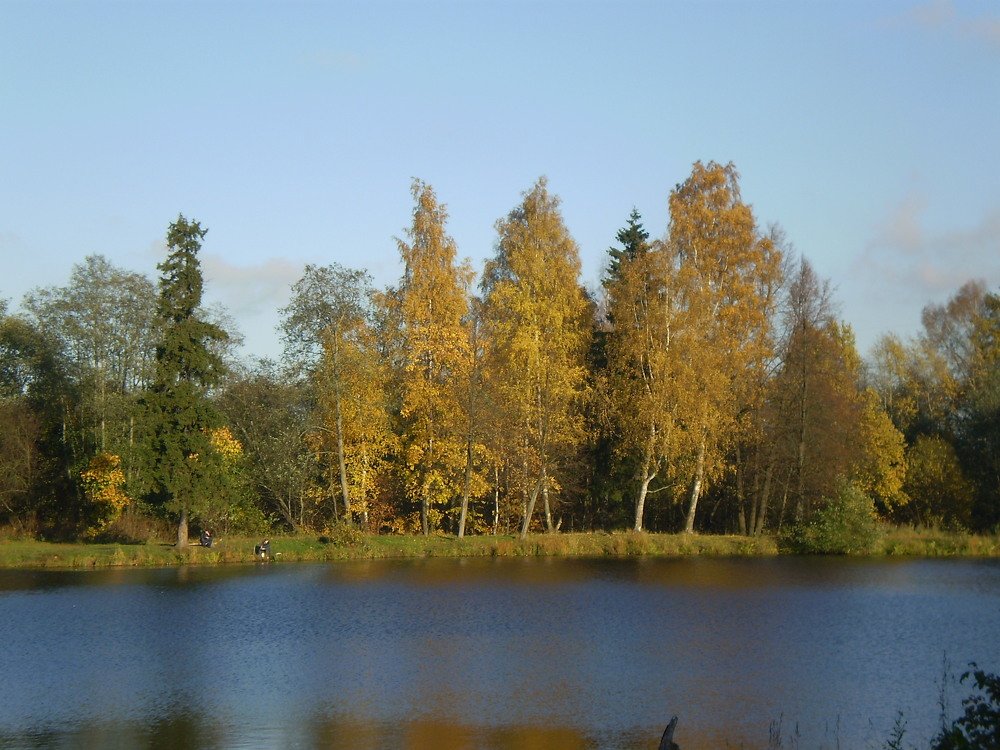 Photograph by Ольга