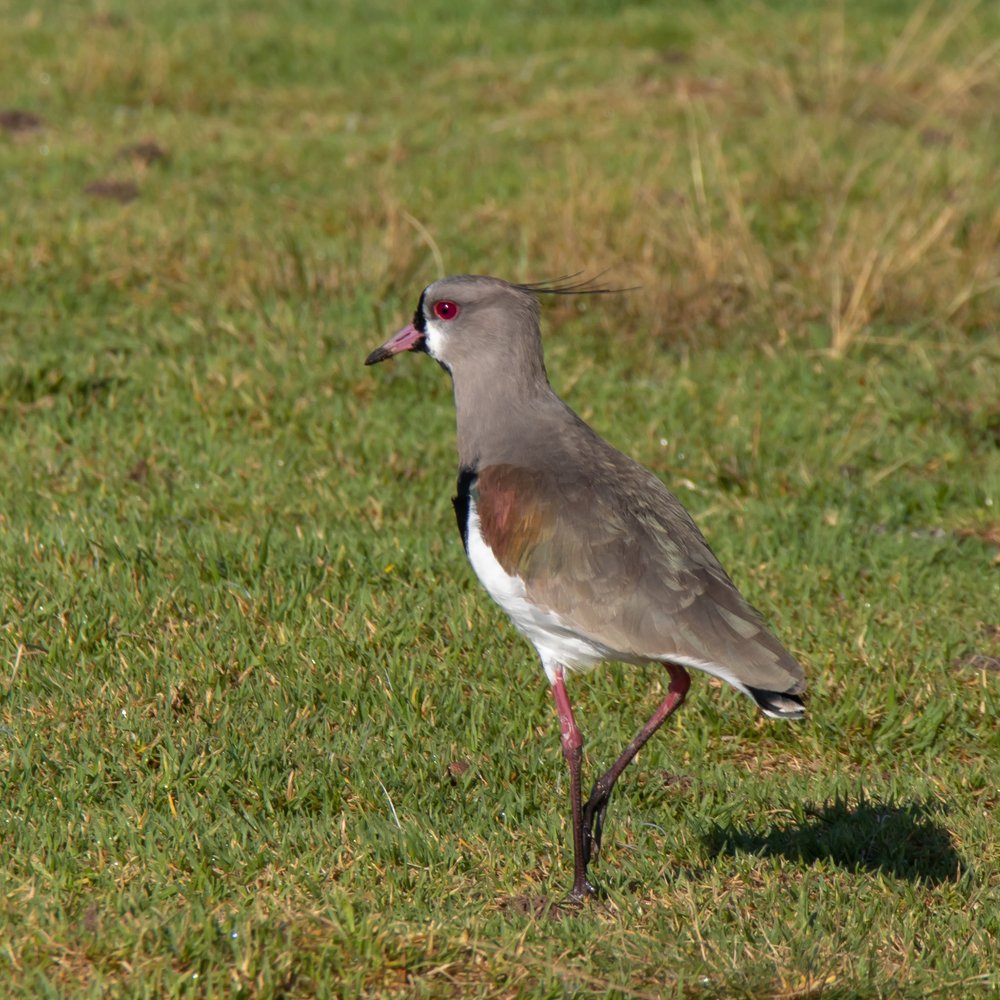 Photograph by Evgeniia Iakimenko