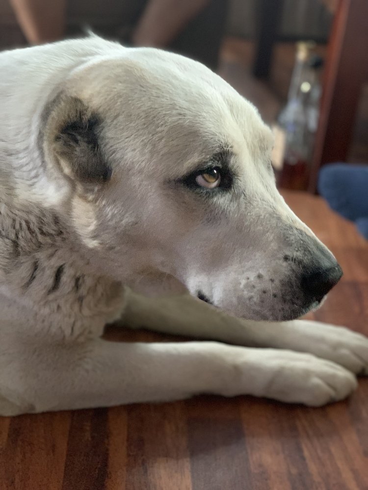 Photograph by Tonya Ostapova