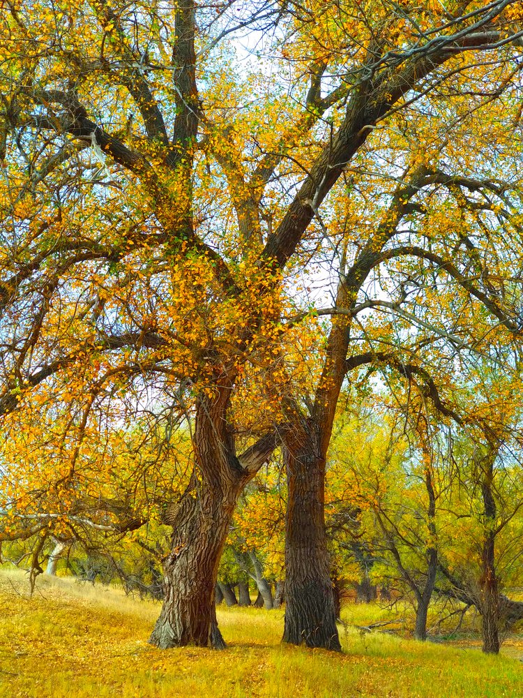 Photograph by Iren Gavrikova