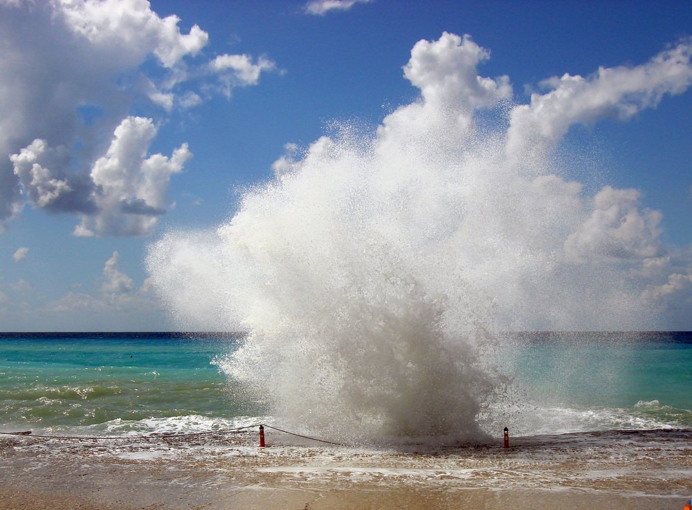 Photo #5035570