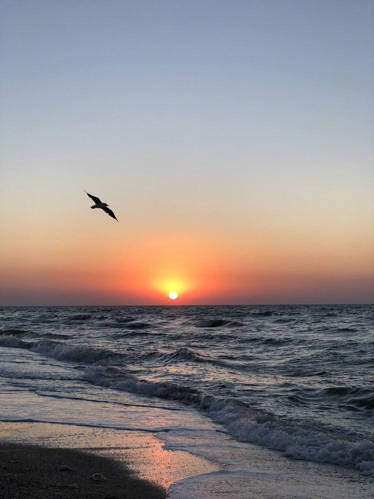 Волшебное утро!