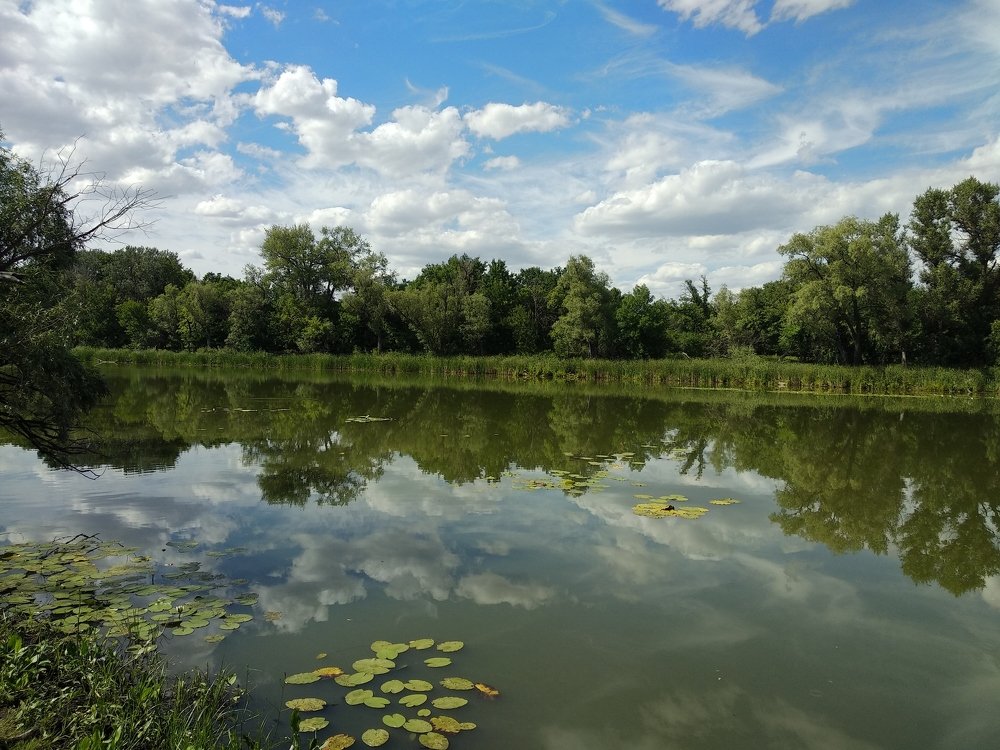 Photograph by Iren Gavrikova