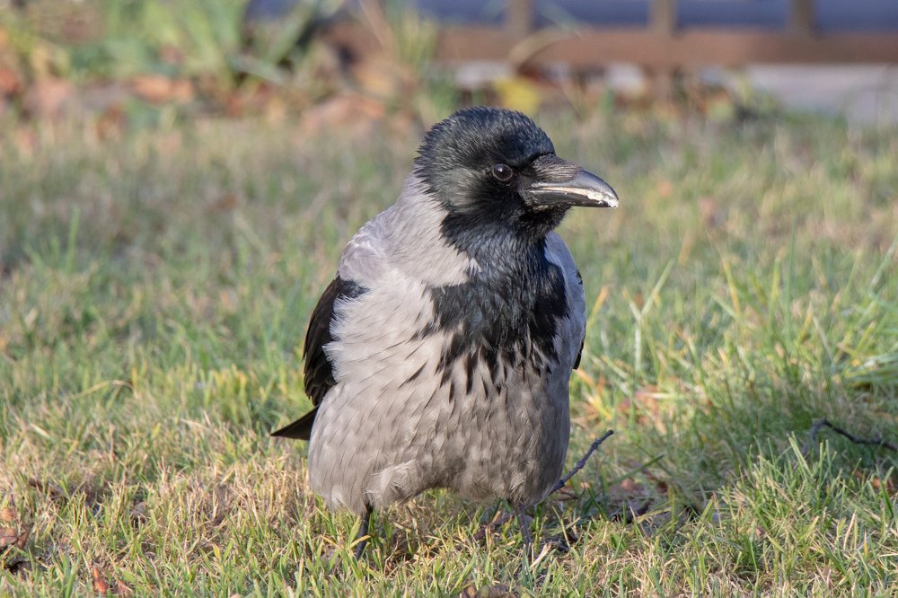 Photograph by Evgeniia Iakimenko