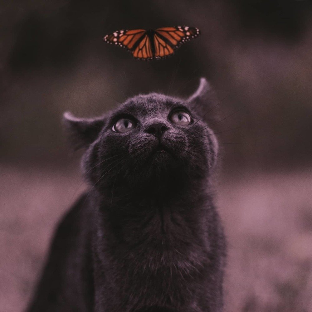 Фотография автора Пётр Бабин