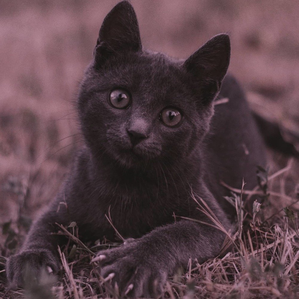 Фотография автора Пётр Бабин