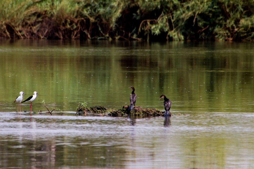 Фотография автора Mario Ernest