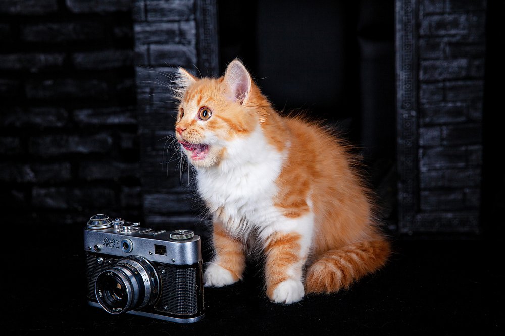 Photograph by Ирина Бобрешова