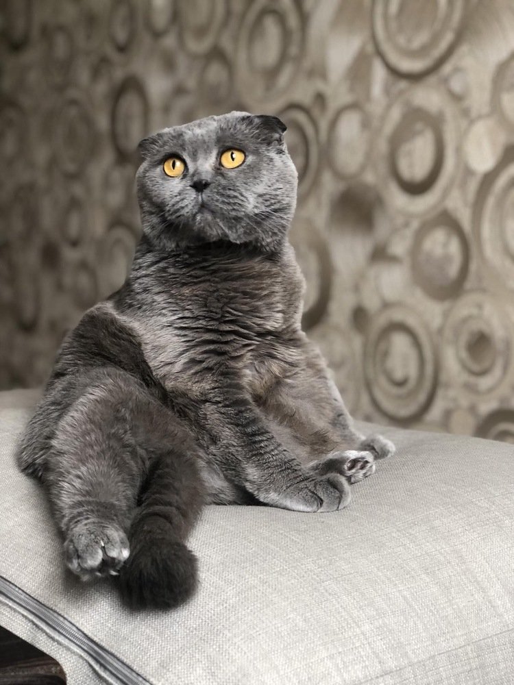 Photograph by Татьяна