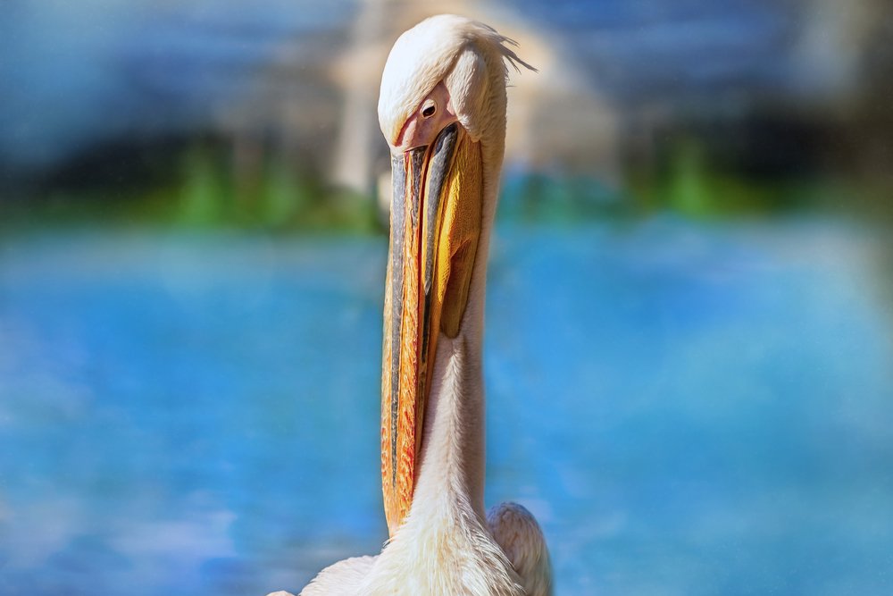 Photograph by Алексей Карпинчик