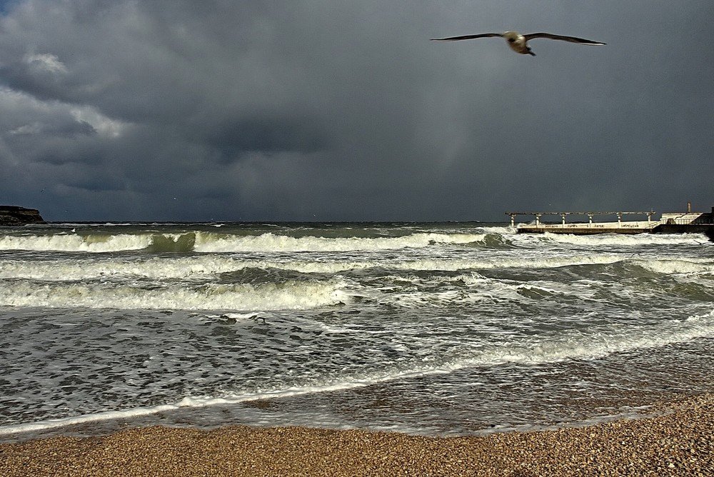 Photograph by Виктор Косюк