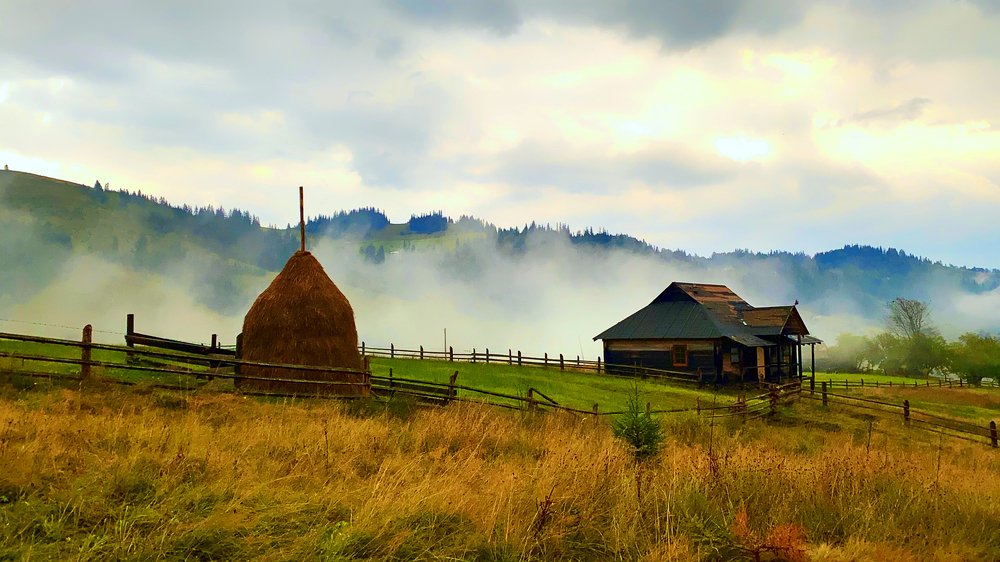 Photograph by Мари Полищук