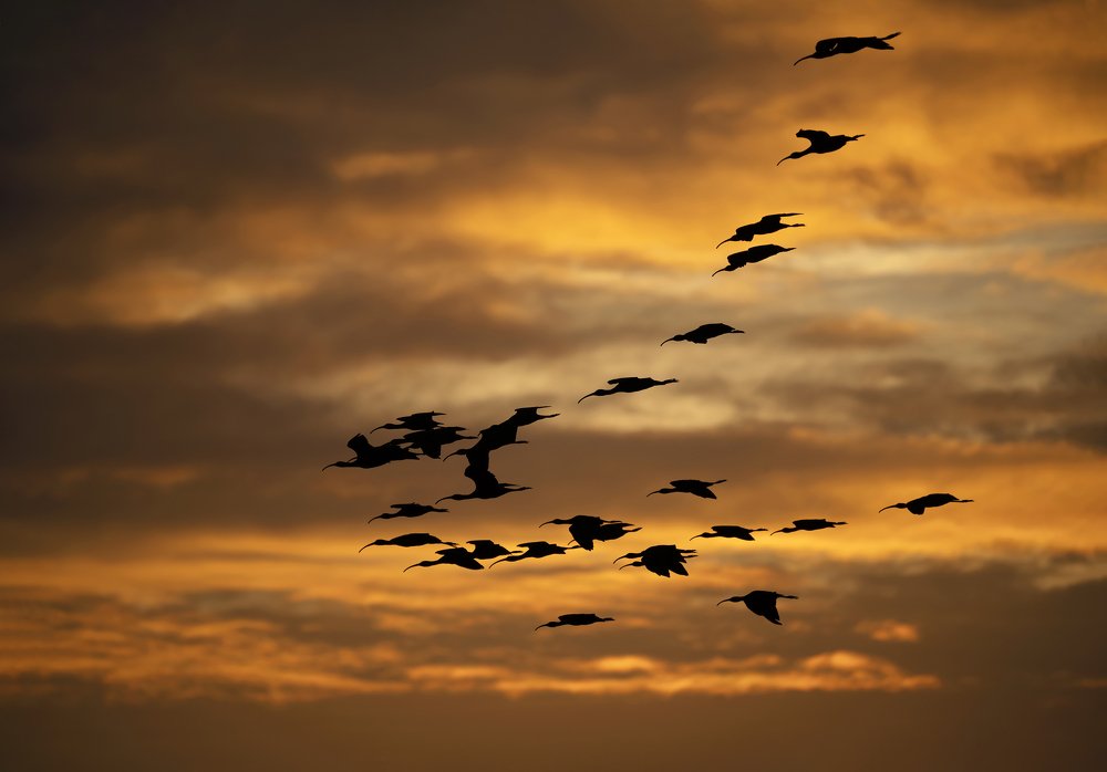 Фотография автора Irina Kozhemyakina