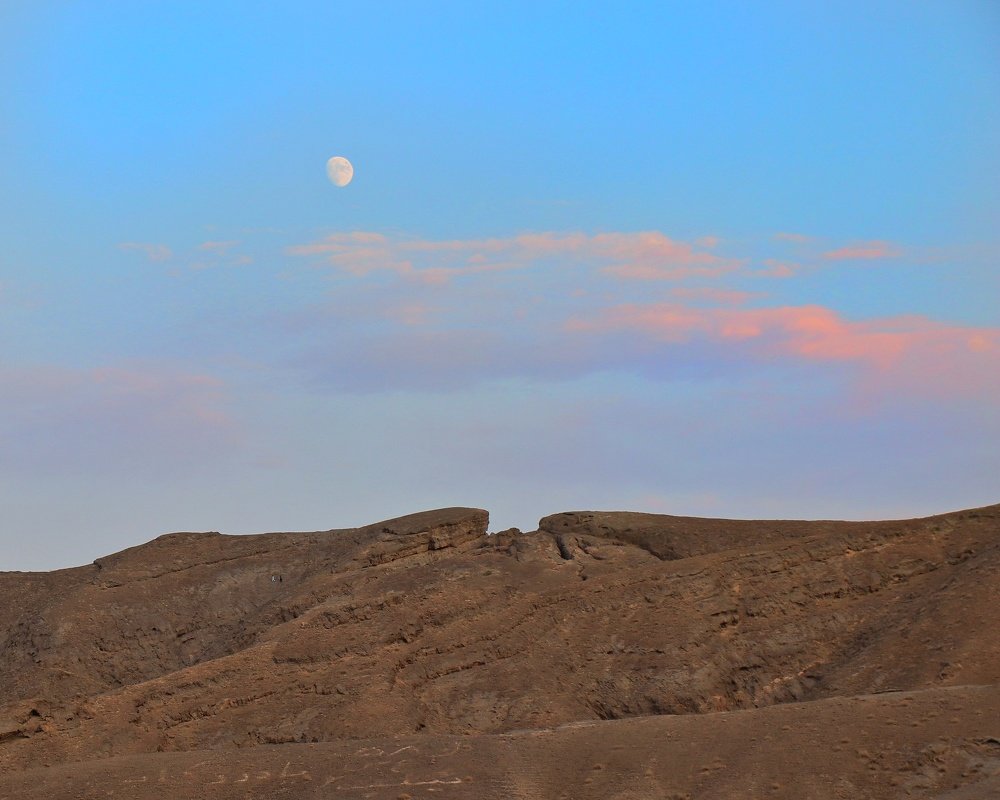 Photograph by مهدی میرشکار