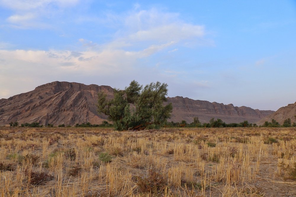 Photograph by مهدی میرشکار