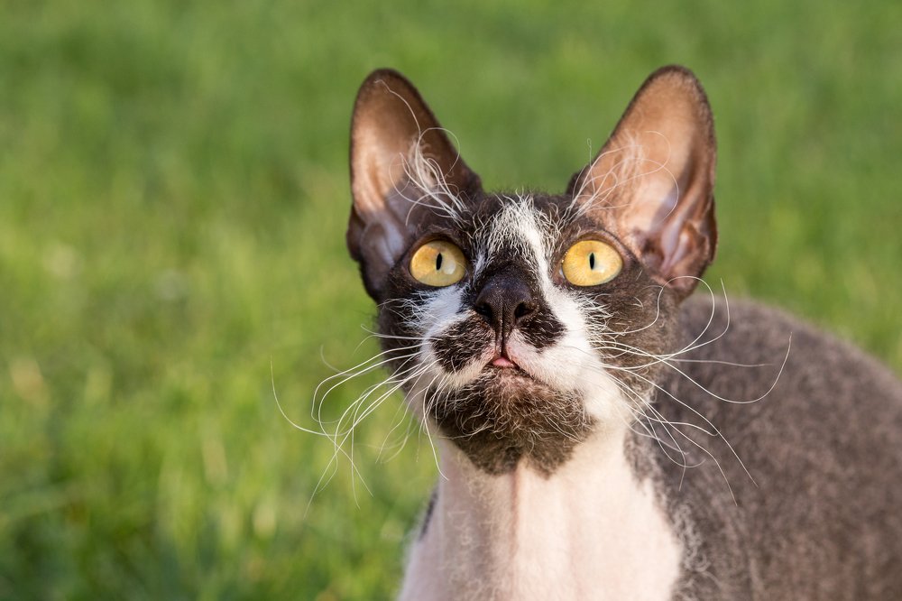 Photograph by Лариса Голованова