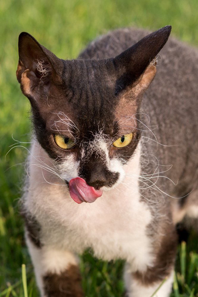 Photograph by Лариса Голованова