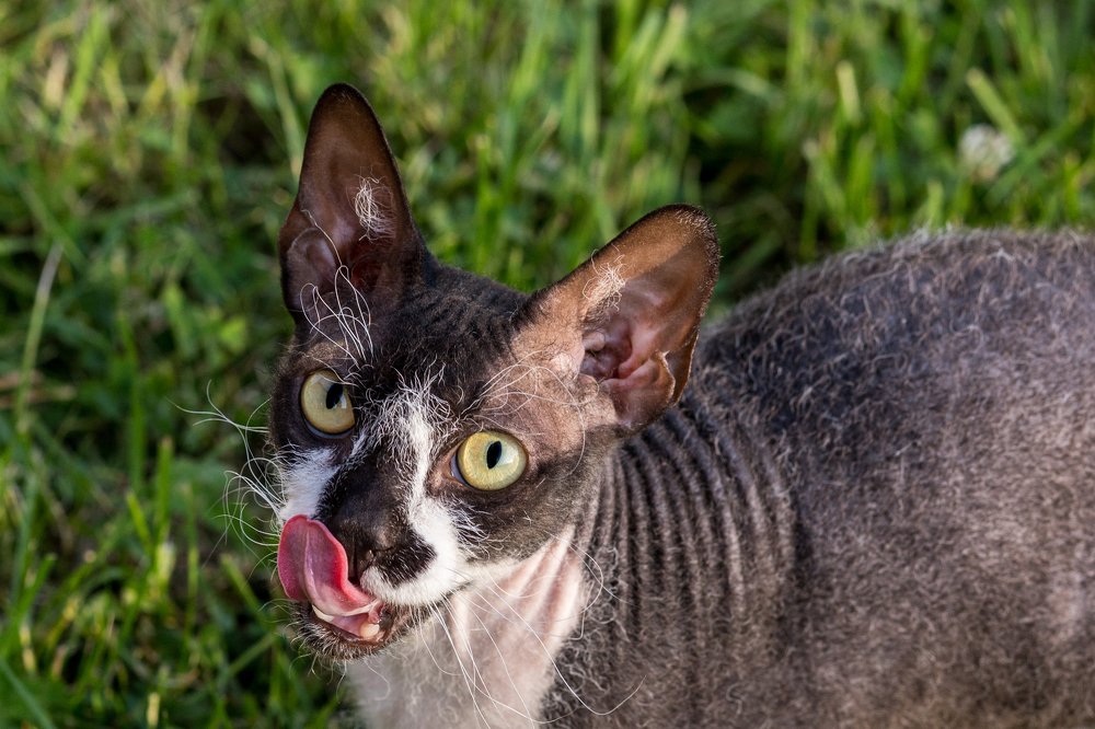 Photograph by Лариса Голованова