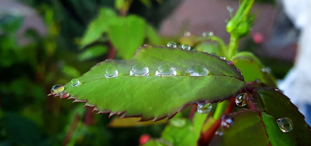 Photograph by Лиана Михайловская