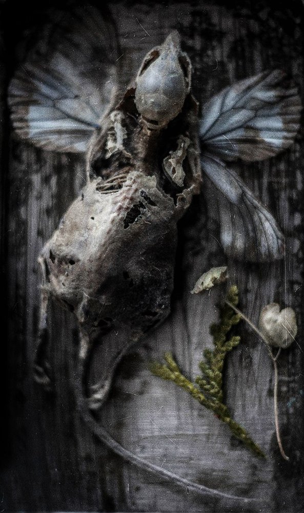 Photograph by Svoboda Andreeva