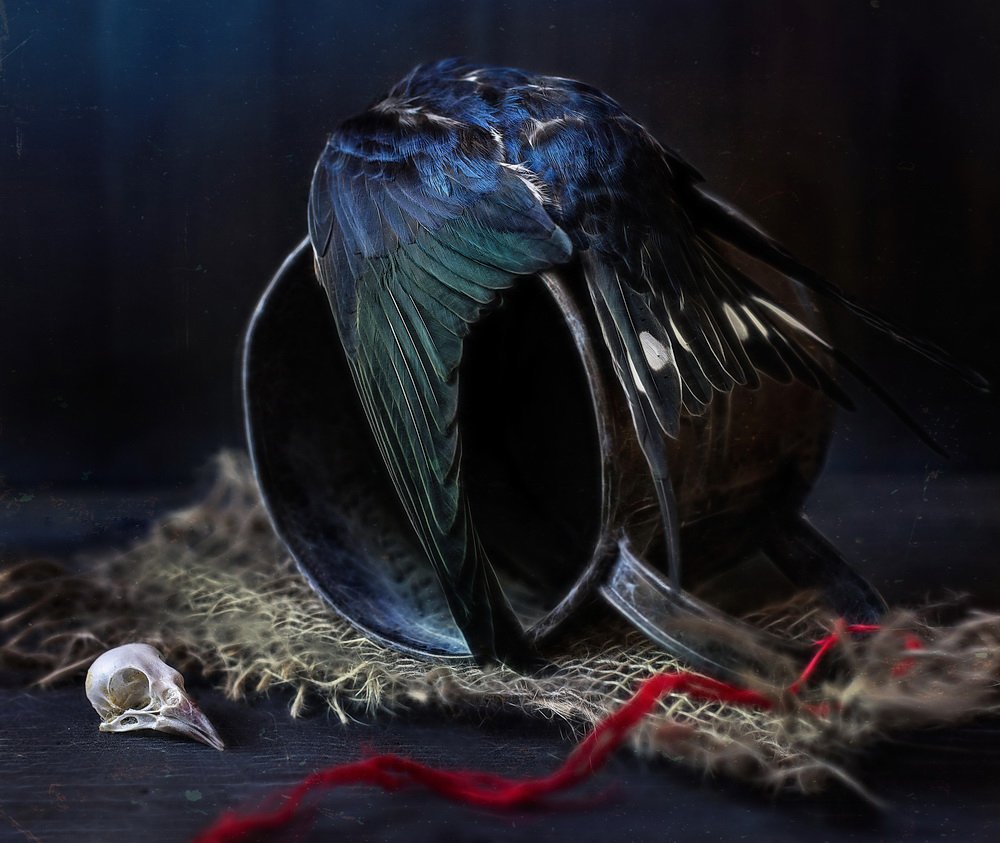 Photograph by Svoboda Andreeva