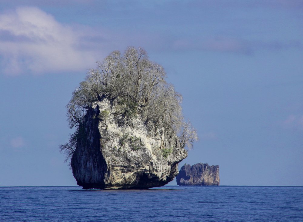 Photograph by Evgeniia Iakimenko