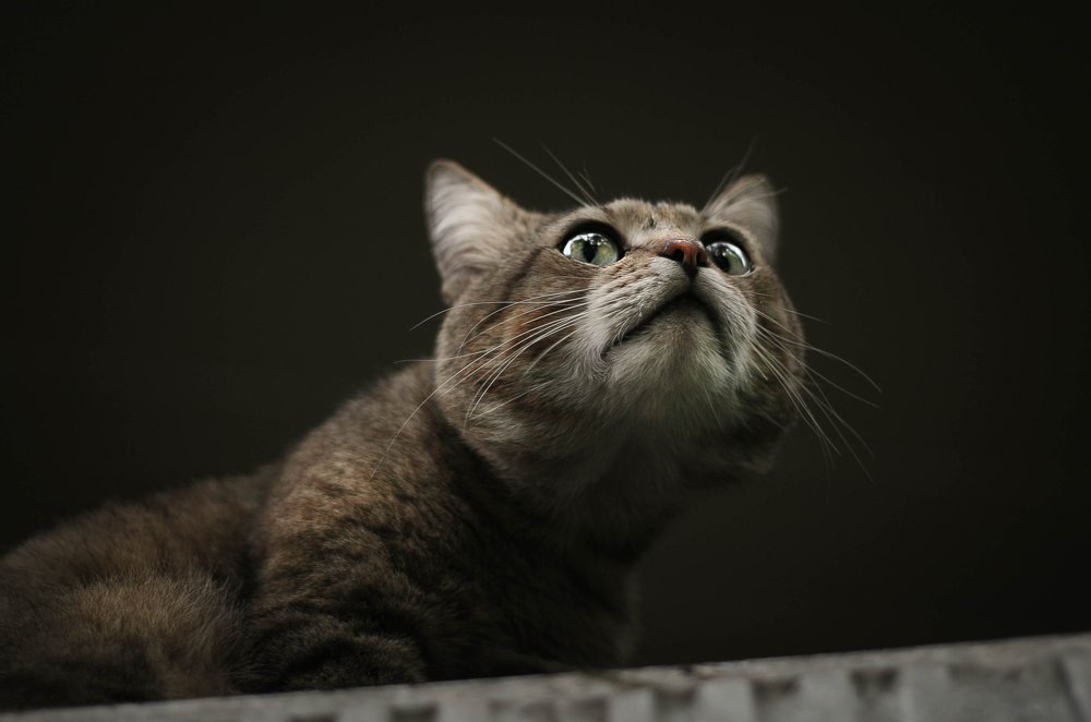 Photograph by Svoboda Andreeva