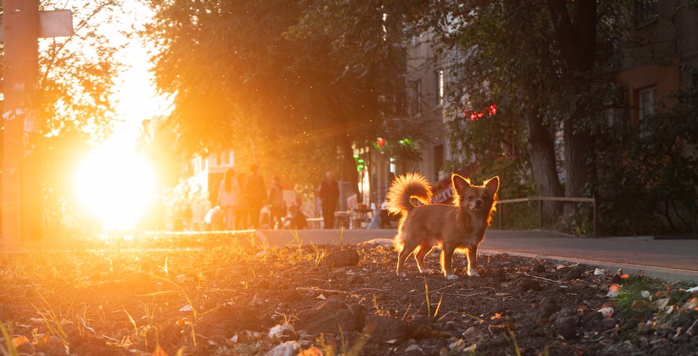 Photograph by Кир Киселёв