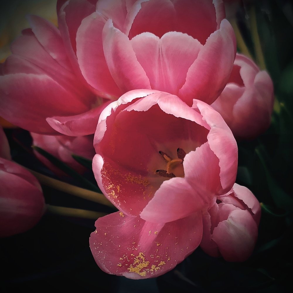Photograph by Елена Павлова