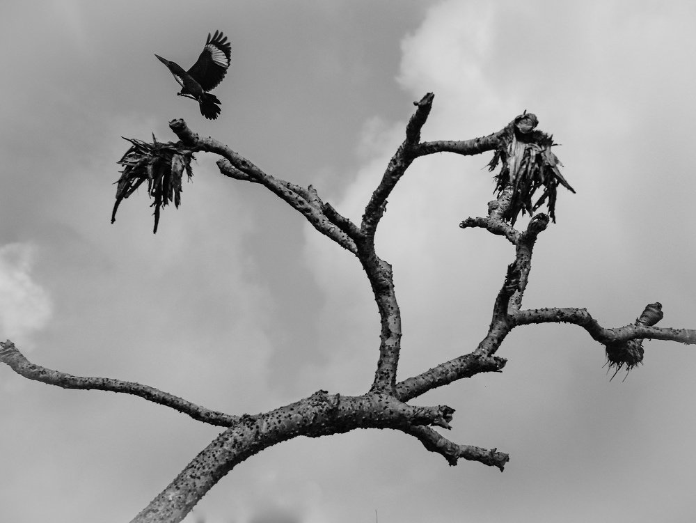 Photograph by Газетдинов Айрат