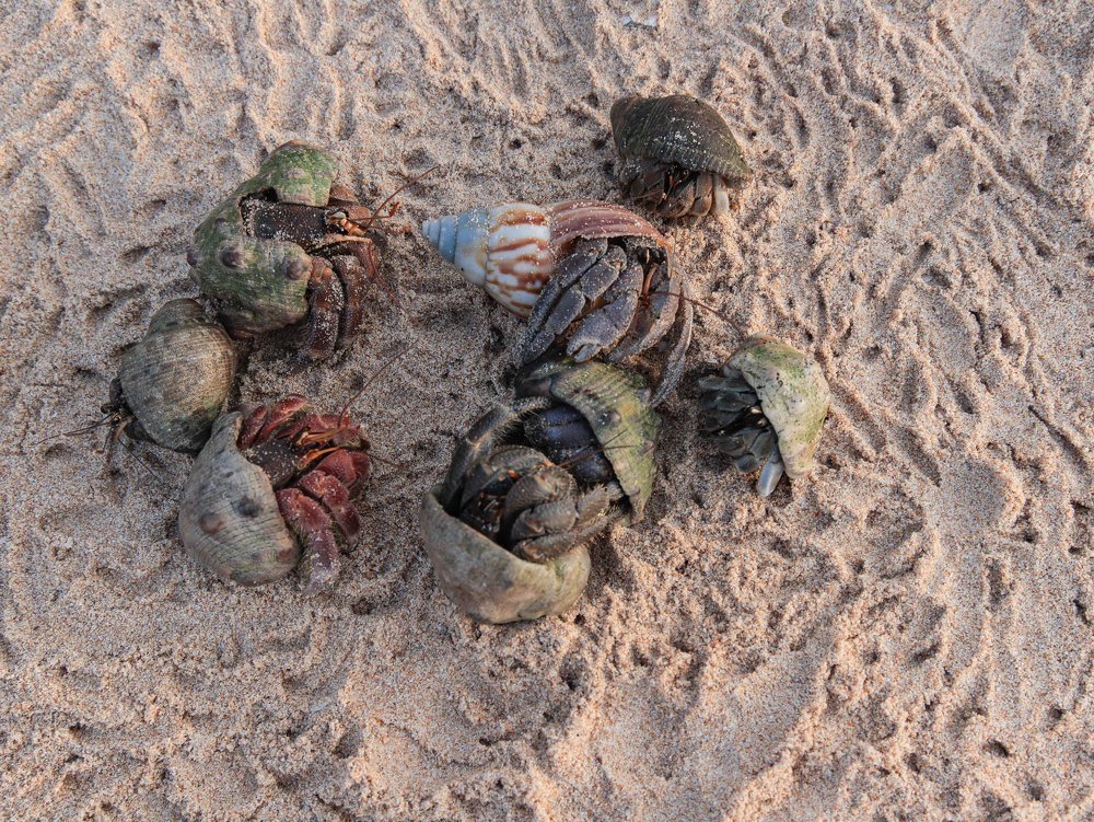 Photograph by Газетдинов Айрат