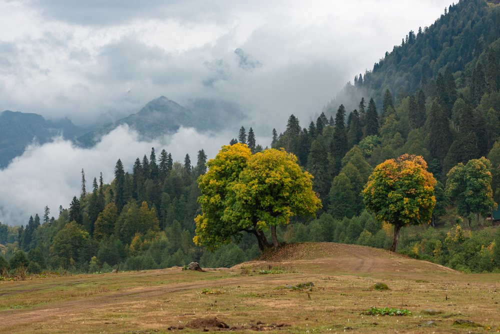 Photograph by Антон Герасимов