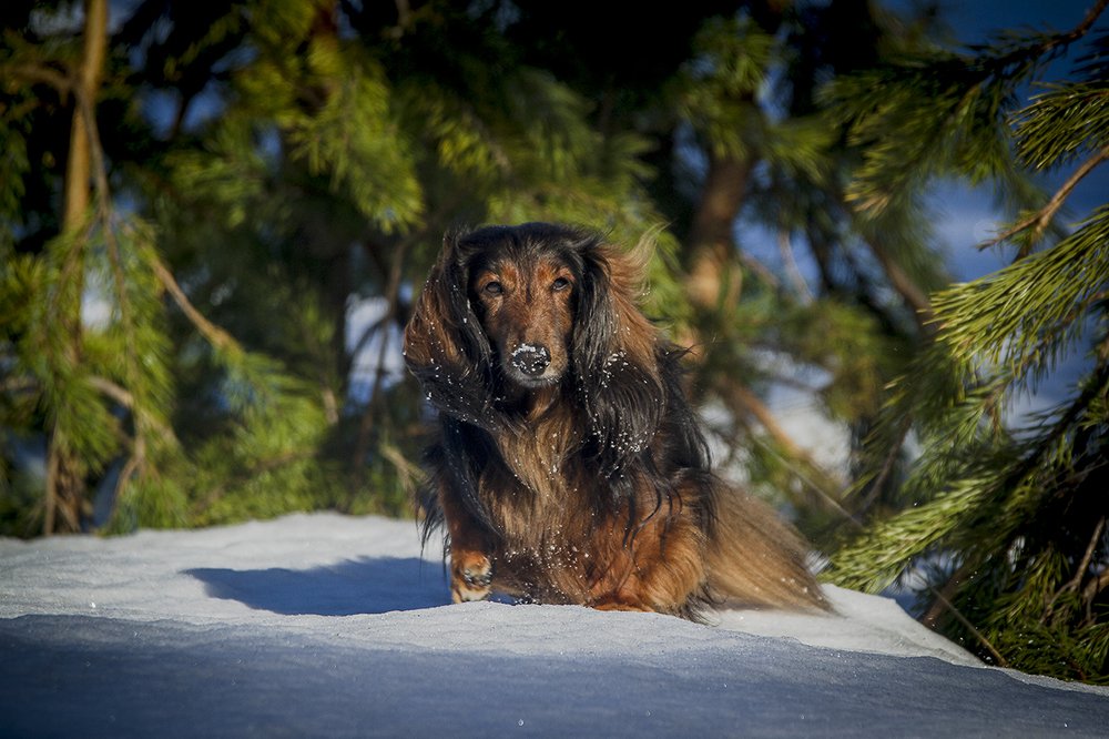 Photograph by Андрей Костромин