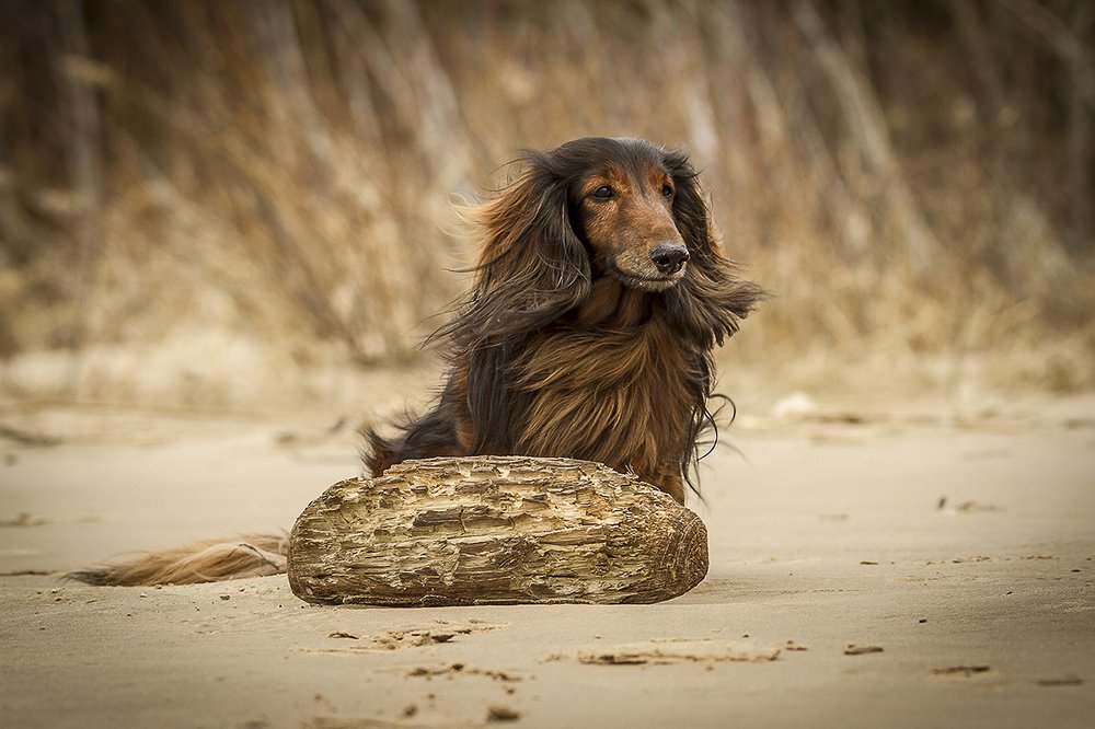 Photograph by Андрей Костромин