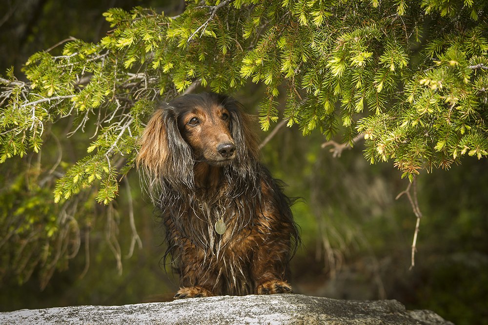 Photograph by Андрей Костромин