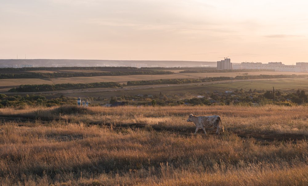 Photograph by Кир Киселёв